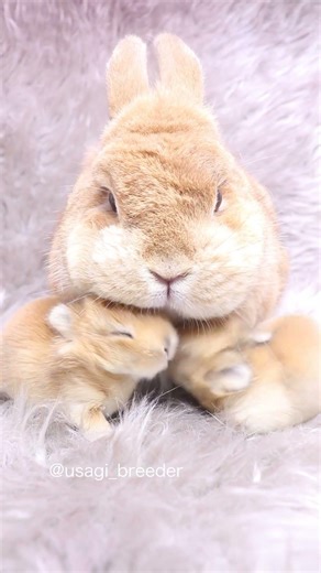 生後１週間でこのくらいの大きさ！もう手のひらサイズ