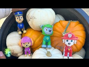 Spooky Surprises! 👻 Halloween COMPILATION for Kids