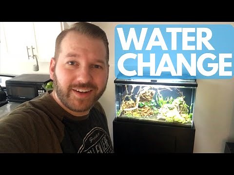 Water Change Using RO/DI Water and Seachem Equilibrium