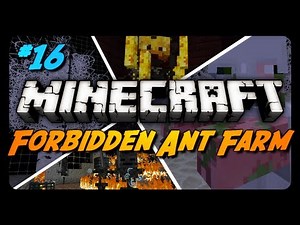 Forbidden Ant Farm Survival - Ep. 16 - A Positive Mindset!