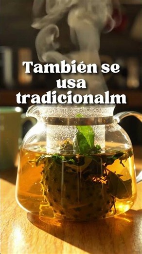 ✳️ How to Make Soursop Tea to Sleep Better Than Ever #organic #health #tip #tips