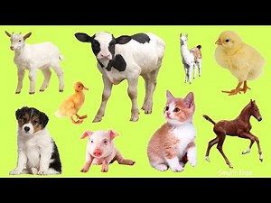 Домашние Животные часть 2| Учим самых милых малышей домашних животных| Учим звуки