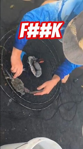 I got pinched by a crab 🦀 yes it gets funnier the more you watch it #funny #crabs #fail