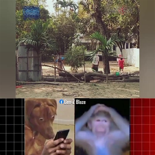 Wait for the last moment.💁 | Gen-Z Blaze