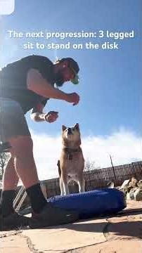 Sit to stand on an inflatable disk: Strengthen hips, quads, glutes. #movementbreaks #activesitting