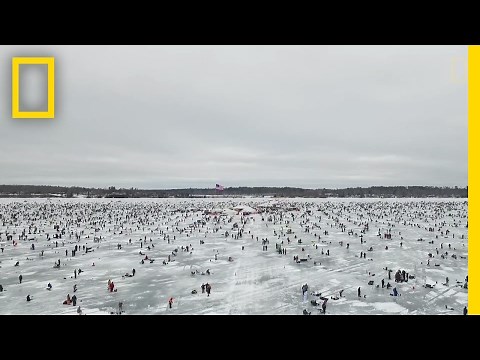 Watch: Nearly 10,000 People Ice Fish for Charity | National Geographic