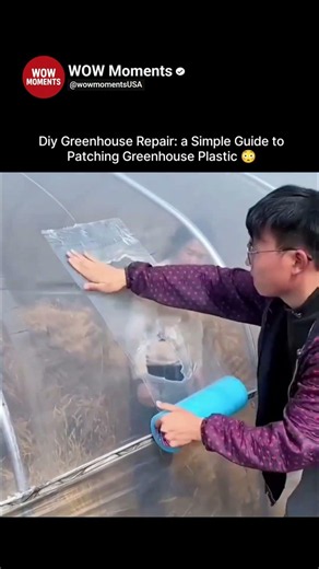 Diy Greenhouse Repair a Simple Guide to Patching