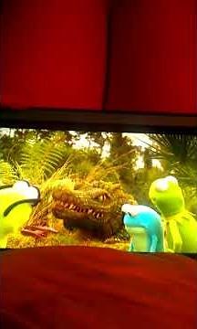 Kermit Swamp Years 🐊