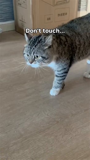 “don’t touch me!”