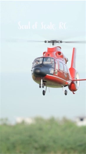 The Eurocopter, later Airbus Helicopters AS365 Dauphin 800 mm Blade Move with slow, graceful motion. Let’s see more Pictures and Video on Page Facbook : Soul of Scale RC Youtube : Soul of Scale RC IG: Soul of Scale #SoulOfScaleRC | Soul of Scale RC