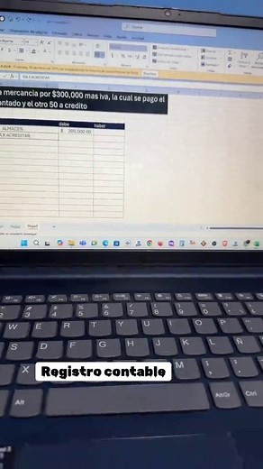 Teoría de la Partida Doble en Contabilidad: Registro Contable y Excel