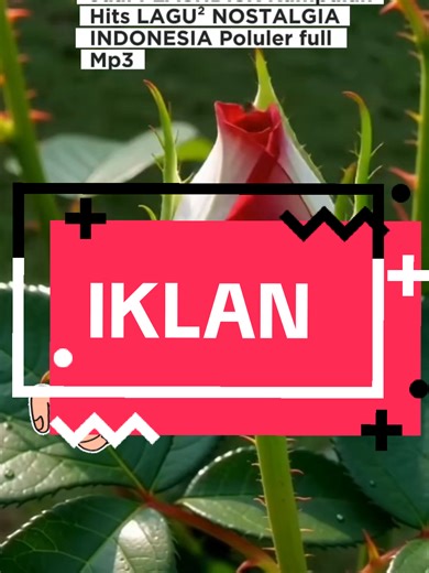 Flashdisk Musik Pop Nostalgia di Indonesia