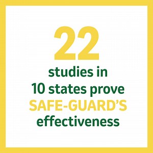 By getting rid of worms, SAFE-GUARD helps cattle keep gaining. | Drovers