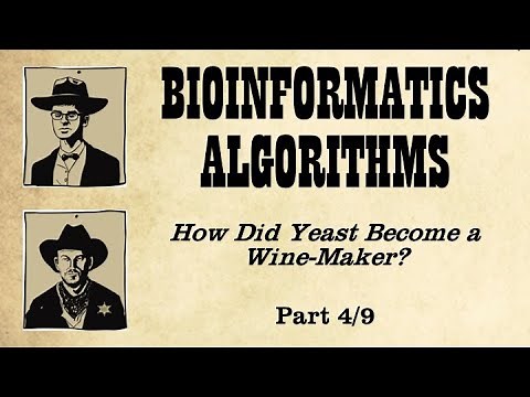 The Lloyd Algorithm for k-Means Clustering