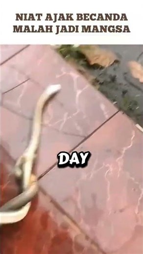 When the King Hits it seriously!