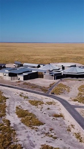 613 reactions · 26 shares | Live like royalty where wildlife meets...