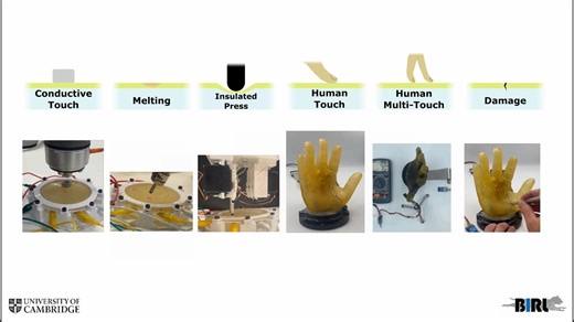 [转载搬运] 利用单层软皮和高密度EIT进行多模态信息结构化