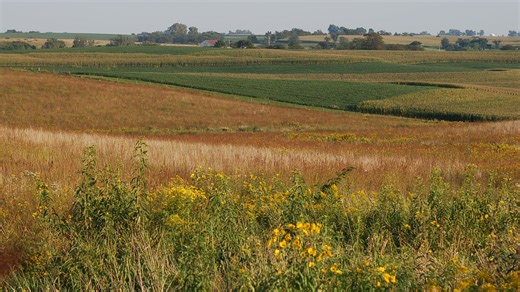 Agriculture research and development funding needs a rebound | Opinion