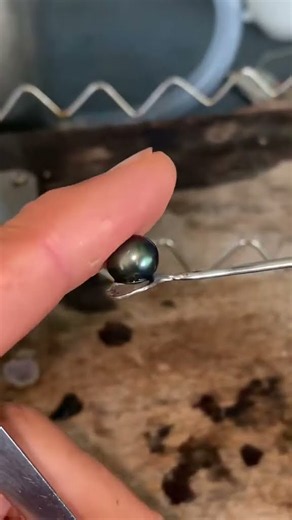 🤯 He Found a Perfect Pearl Inside an Oyster! 🦪✨ #shorts