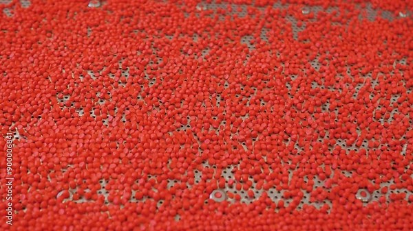 Close up: plastic recycling machine - separation, sorting material process: bouncing red recycled plastic pellets, granules on vibrating shale shaker, conveyor belt. Sustainable and production concept