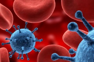 A New Way to Starve Cancer Cells | Cancer