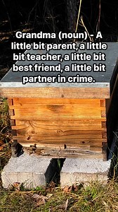 Definition of Grandma… #reelschallenge #reelsviralfb #truth | Sick Twisted Humor