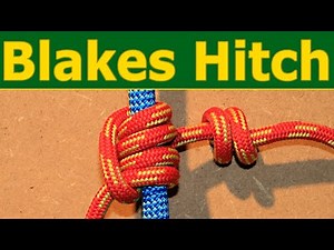 Blakes hitch knot - SRT climbing with the tree climbing classic
