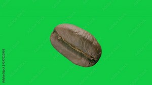 macro shots one macro of coffee bean rotating isolated on green screen background, Green screen Chroma key