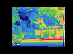 Ghost adventures : le Zoo hanté