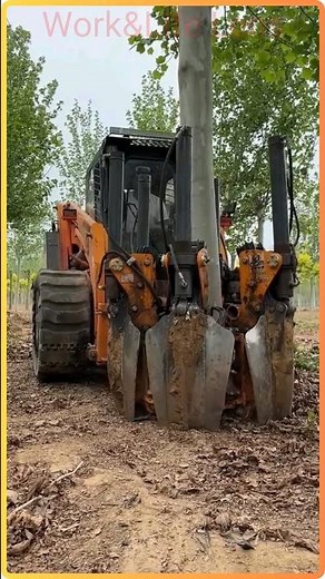 Tree extraction process using a hydraulic tree spade machine