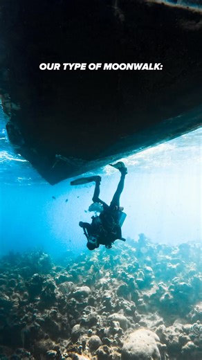 🌕✨ Introducing a new kind of moonwalk—our underwater version where the challenge is balancing yourself upside down on the dive boat! 🤿🎶 Dive with us at Reef Gliders, where whimsy can be a part of every splash! 🌊🌴 , , , , , , , , , , , , #UnderwaterMoonwalk #ReefGliders #AquaticBalance #DiveAndDance #MarineAcrobatics #OceanStage #PlayfulDive #SubmergedShow #DiveWhimsy #BottomMagic | Reef Gliders Dive Center