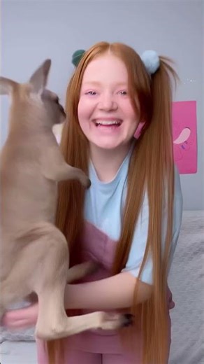 🦘 Fun Wild Animal Learning for Kids 🐨 #kidsactivities #learningthroughplay