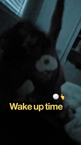 When your energetic toddler uses The Music Class songs to wake you up 🫠😂😴🥰 | The Music Class