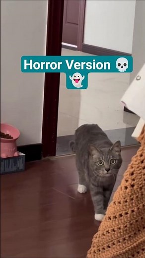 😱 Horror Cat Compilation | The Scariest Cat Moments Ever! 🐈‍⬛👻
