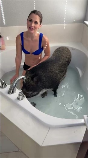 Most Famous Pig 🐷 #Shorts