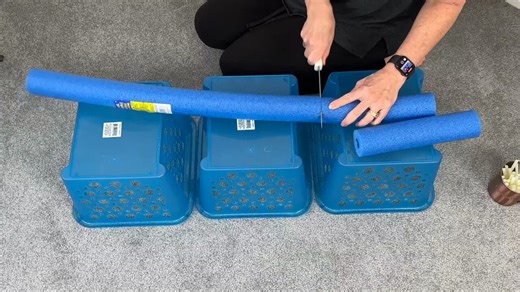 Dollar store bin storage