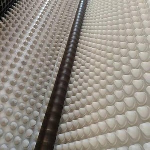 [Hot Item] Dimple Drain Sheet/Dimple Drainage Board