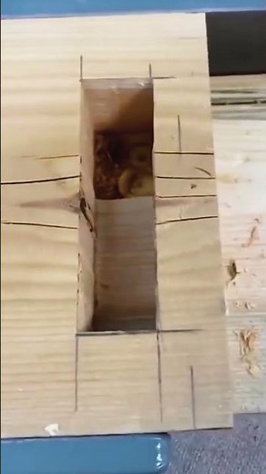 How to cut a square hole in wood