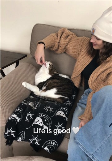 Love my chonk 🤍 #cat #catweightloss #chonkycat #eviethechonk