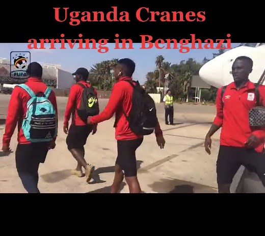 #UgandaCranes