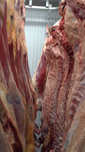 We often get asked about our beef and how it’s prepared. We hang and dry age our beef because it’s a completely natural way to improve both flavor and tenderness, with no fillers or additives. Hanging and aging lets natural enzymes soften the meat while moisture slowly evaporates. This gives you beef that’s more tender and has a richer, deeper flavor. Nothing added. Nothing mixed in. Just naturally aged, high-quality beef.🥩 | Ottawa Valley Meats