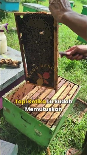memutuskan untuk jadi pengusaha itu gak mudah...