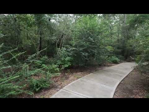 GoPro 10 High Stabilization Test