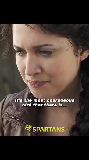 Movie ¦ Core ¦ Entertainment on Instagram: "🎬 The Starving Games 🏹😂🎭 (2013 Movie) 🎥 1h 27m • Comedy • Parody • Adventure 🎞️ A hilarious spoof of The Hunger Games, this parody follows Kantmiss Evershot as she is chosen to compete in a deadly televised game. Full of absurd humor, over-the-top gags, and pop culture references, it’s a laugh-out-loud adventure that doesn’t take itself seriously. 📈 𝐑𝐚𝐭𝐢𝐧𝐠𝐬: IMDB – 3.3/10 Rotten Tomatoes – 11% Amazon – 4.0/5 🎦 𝐖𝐚𝐭𝐜𝐡 𝐨𝐧: • Amazon P