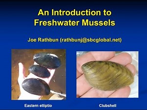 2022 MiCorps Introduction to Freshwater Mussels