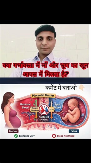 A special barrier called the placental barrier separates the two circulations.#PregnancyFacts