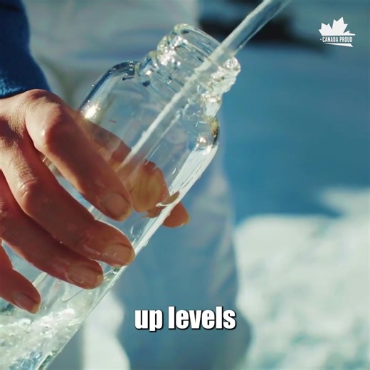 12K views · 1.3K reactions | Trudeau's carbon capture scam threatens to destroy your local environment while raising the cost of everything. Canadians must oppose this. Sign our petition HERE: https://www.surveymonkey.com/r/YCQQY59 | Canada Proud | Facebook