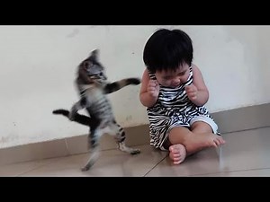 Cat Drama Level 1000🤣🔥