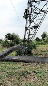 213K views · 517 reactions | Anaconda snake electric pull under  #anaconda #viralreelsシ #reel #reels #viral #trendingreels #viralreels #trending #facebook #Amazing #fbreels #wildlife | Duari Behera | Facebook