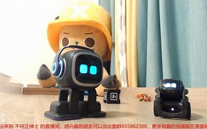 绅士家EMO与VECTOR的日常抢戏